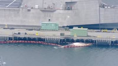 Два редких кита погибли под винтом эсминца ВМС Австралии