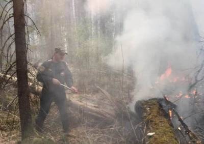 В Тюменской области за сутки вдвое выросла площадь лесных пожаров — до 48,2 тыс. гектаров