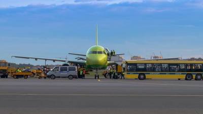 АТОР назвала сроки возобновления авиарейсов из России на курорты Египта