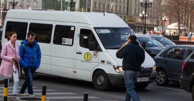 Сам себе контролёр: в Калининграде пассажира с собакой на руках не пустили в маршрутку