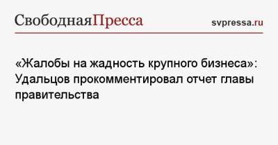 «Жалобы на жадность крупного бизнеса»: Удальцов прокомментировал отчет главы правительства