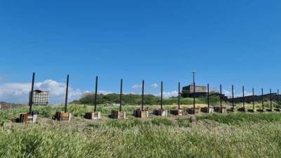 В Севастополе на Херсонесе растет новый забор