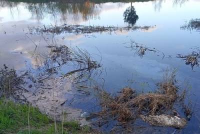 Разлившееся по реке в Твери топливо ликвидируют через несколько дней
