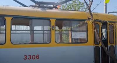 Трамвай загорелся в Одессе, водитель залез на дерево: видео ЧП