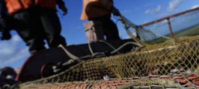 В Карелии у рыбака конфисковали сети без опознавательных знаков