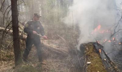 На лесные пожары в Тюменской области вертолёты за сутки вылили 150 тонн воды