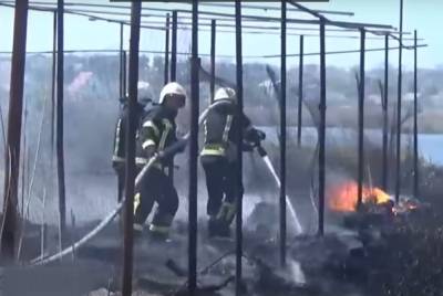 Масштабный пожар в Кропивницком, огонь подступил к жилым домам: кадры с места