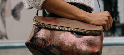 Жительница Карелии в процессе поиска пропавшей сумки потеряла еще 5 тысяч рублей