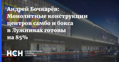 Андрей Бочкарёв: Монолитные конструкции центров самбо и бокса в Лужниках готовы на 85%