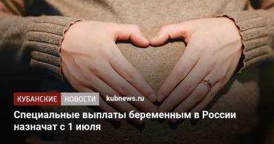 Специальные выплаты беременным в России назначат с 1 июля