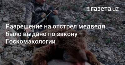 Разрешение на отстрел медведя было выдано по закону — Госкомэкологии