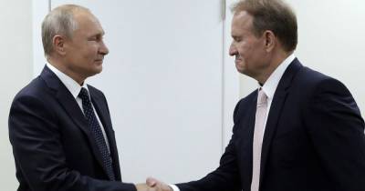 В Кремле ответили, обращался ли кум Путина Медведчук за политическим убежищем в Россию