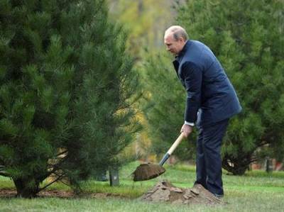 Путин поручил предусмотреть снижение объема выбросов парниковых газов до уровней ниже ЕС