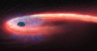 Черная дыра съела звезду. Астрономы впервые запечатлели это кровавое шоу