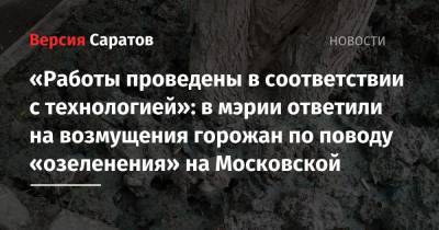 «Работы проведены в соответствии с технологией»: в мэрии ответили на возмущения горожан по поводу «озеленения» на Московской