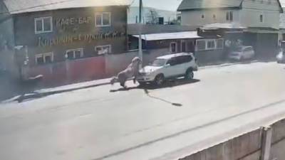 Столкновение лошади с внедорожником на Сахалине попало на видео