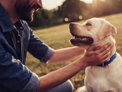 Ученые обнаружили способность человека «заражать» собак стрессом