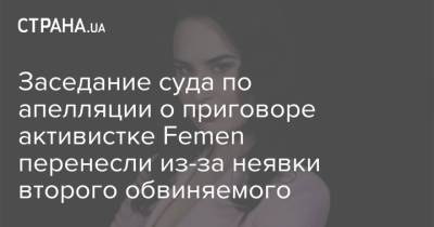 Заседание суда по апелляции о приговоре активистке Femen перенесли из-за неявки второго обвиняемого