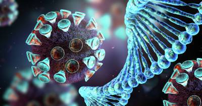 Итальянские ученые выяснили, что антитела к коронавирусу сохраняются не менее 8 месяцев