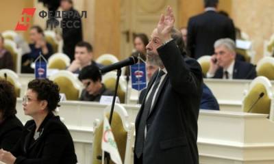 Депутаты петербургского ЗакСа раскритиковали введение трехдневного голосования