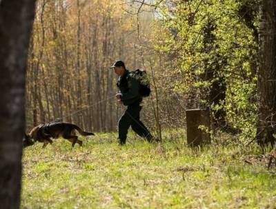 В Смоленской области за майские праздники задержали более 400 нелегалов