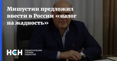 Мишустин предложил ввести в России «налог на жадность»
