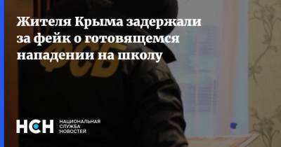 Жителя Крыма задержали за фейк о готовящемся нападении на школу