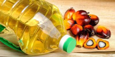 В России могут ограничить использование пальмового масла