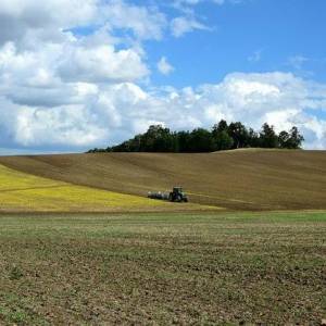 В Запорожской области фермерскому хозяйству незаконно передали участок, стоимостью более 34 млн гривен