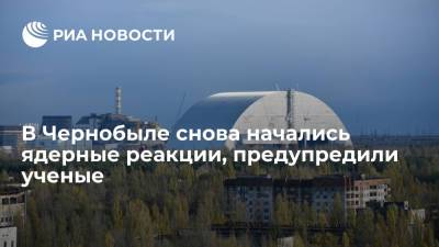 В Чернобыле снова начались ядерные реакции, предупредили ученые