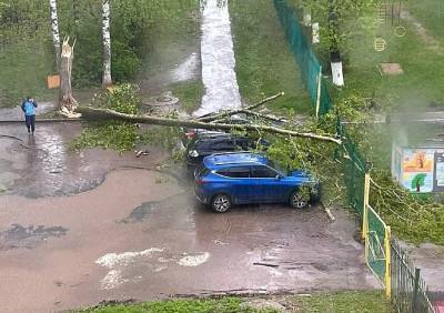 Рязанцы выложили в соцсети фото и видео с последствиями урагана