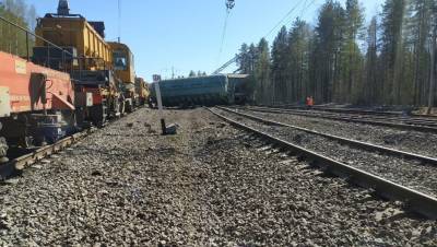 В Карелии сошли с рельсов 14 вагонов грузового поезда