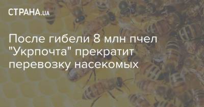 После гибели 8 млн пчел "Укрпочта" прекратит перевозку насекомых