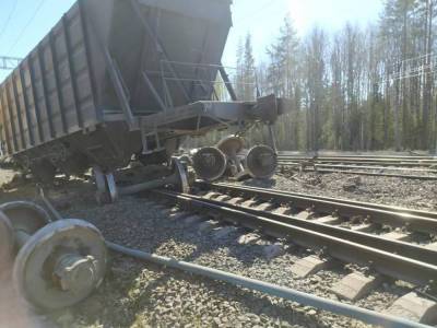 В Карелии с рельсов сошли 14 грузовых вагонов поезда — фото