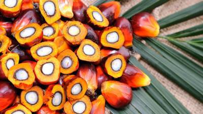 Эксперт рассказала о мифах про пальмовое масло