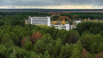 Новые ядерные реакции обнаружены в Чернобыле