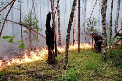 Россия охвачена огнем по вине властей — эколог