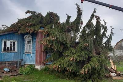 Под Рязанью из-за урагана ель рухнула на жилой дом