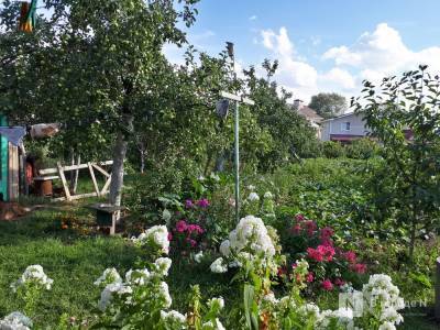 Нижегородцы пожаловались на строительство в садовых товариществах