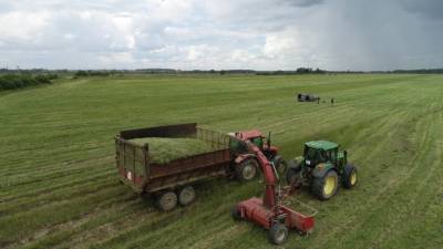 Новая поправка к закону может лишить крупных фермеров Литвы субсидий ЕС