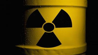 Учёные предупредили о высокой вероятности возобновления ядерных реакций на севере Украины