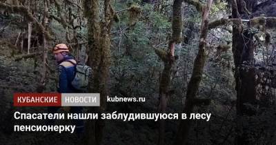 Спасатели нашли заблудившуюся в лесу пенсионерку