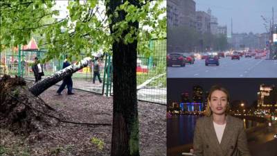 Вести в 20:00. Погода в Москве и области: падали деревья, остановки, щиты