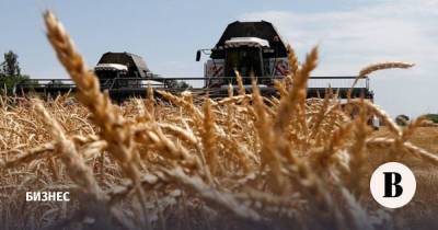 Россия может собрать один из самых высоких в истории урожаев зерна