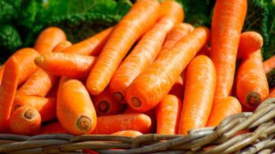 Офтальмолог Куренков оценил способность моркови восстанавливать зрение