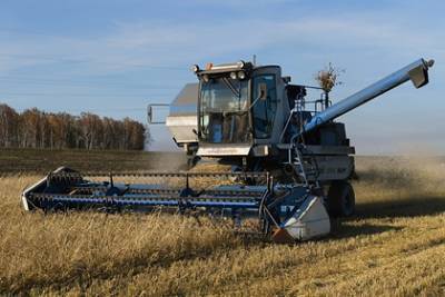 В CША спрогнозировали России один из лучших урожаев пшеницы в истории