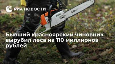Бывший красноярский чиновник вырубил леса на 110 миллионов рублей