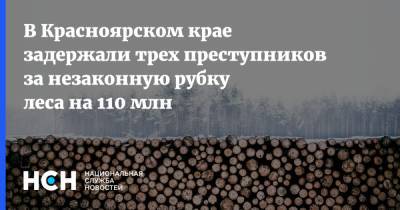 В Красноярском крае задержали трех преступников за незаконную рубку леса на 110 млн