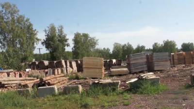 Вырубка леса в Красноярском крае: ущерб превысил 110 млн рублей