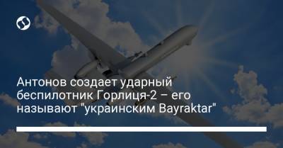 Антонов создает ударный беспилотник Горлиця-2 – его называют "украинским Bayraktar"
